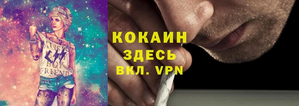 крисы Алексин