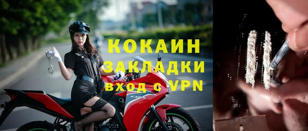 крисы Алексин
