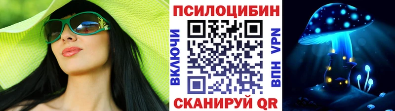 Галлюциногенные грибы Psilocybe Пучеж